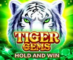 BNG Tiger Gems Demo