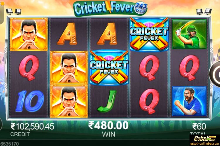 Cricket Fever Big Win Cricket Fever Big Win