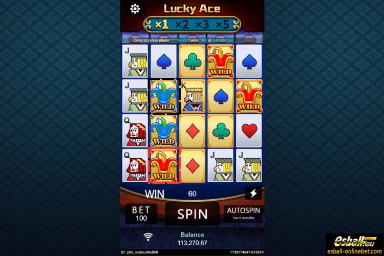 Lucky Ace Slot Joker Card