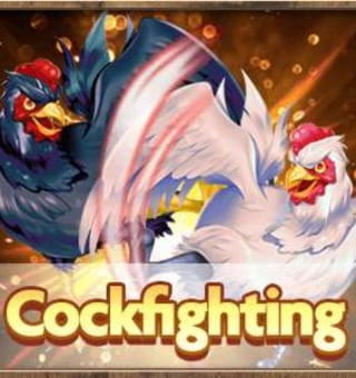 Rich88 Online Cockfighting Game Rules & Odds Introduction